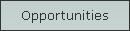 Opportunities