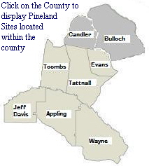map_pineland_counties